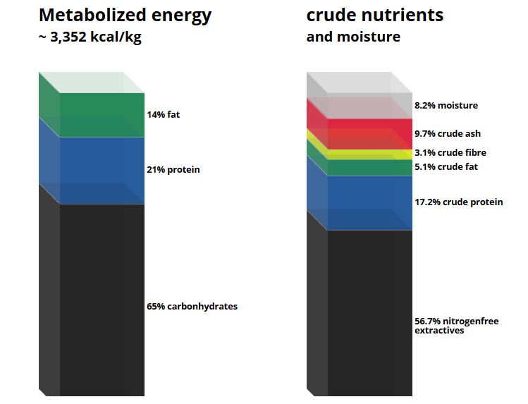 C 1049 Phosphorus rich diet.JPG